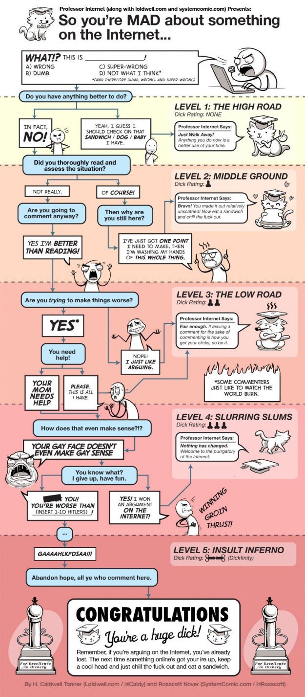 See this Flowchart, When you are mad about something on Internet