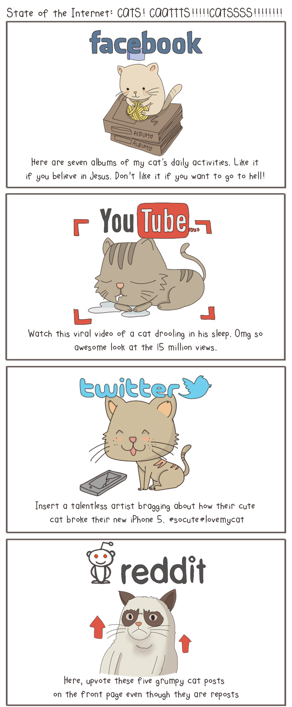 The State of Internet (Social Media), Explained With Cats [Pics]