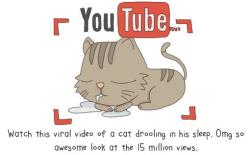 The State of Internet, Explained With Cats Pics
