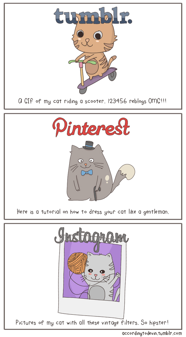 The State of Internet, Explained With Cats pictures 2