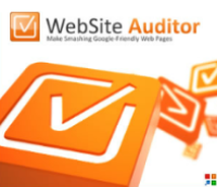 Website-Auditor