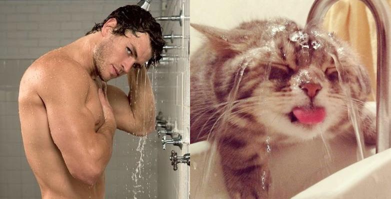 Cats Recreate Awkward Model Poses10