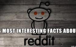 Most Interesting Facts About Reddit