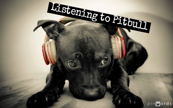 Listening to Pitbull  on earphones