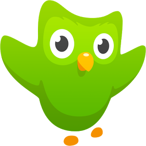 duolingo android app