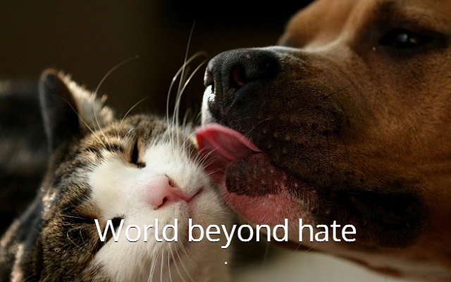 world beyond hate