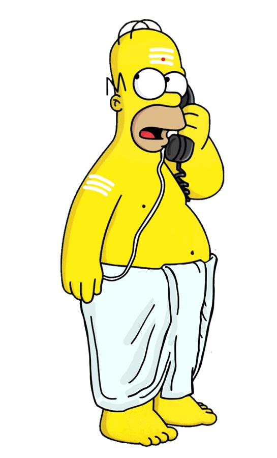 Homer Simpson iyer