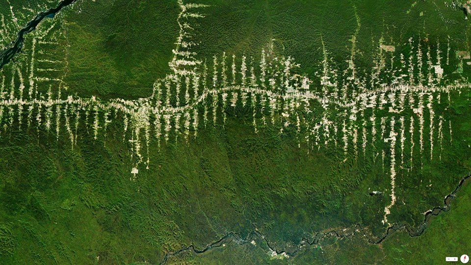 Amazon Rainforest deforestation