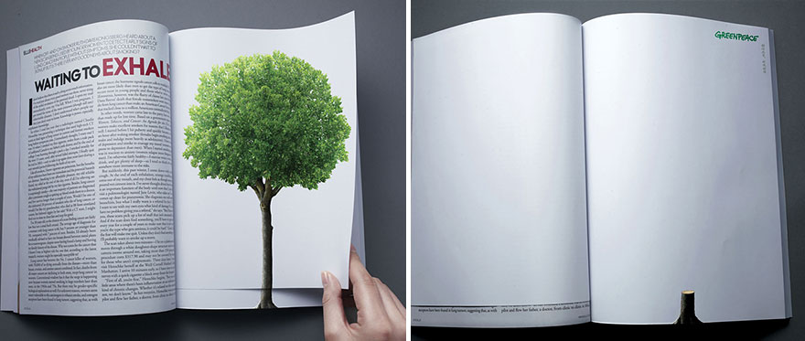 With Every Turn of A Page, Deforestation continues