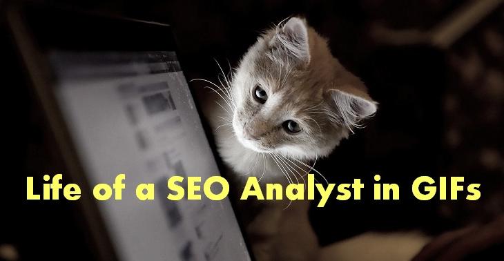life of an seo analyst in gifs 11