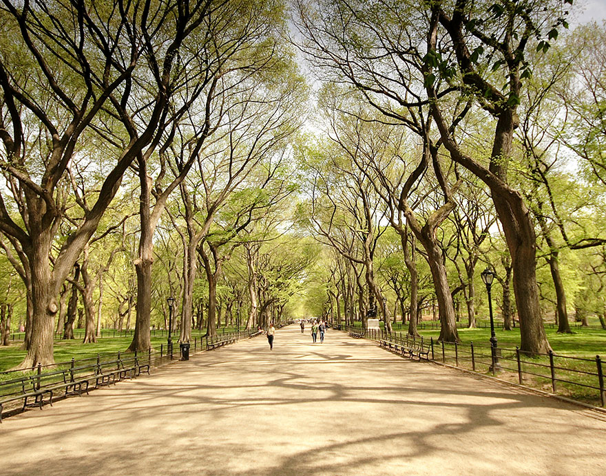 Central Park, New York City