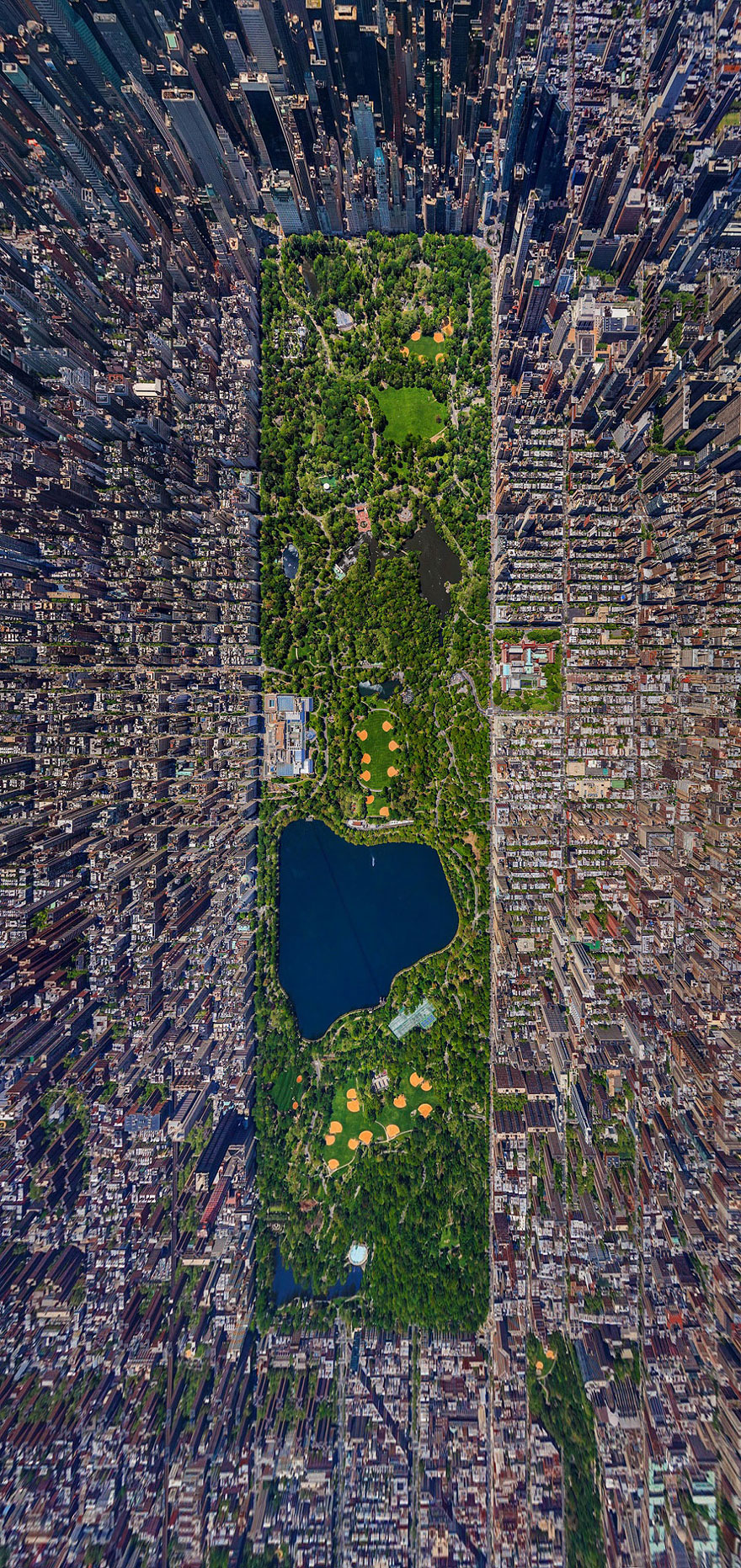 Central Park, New York City1