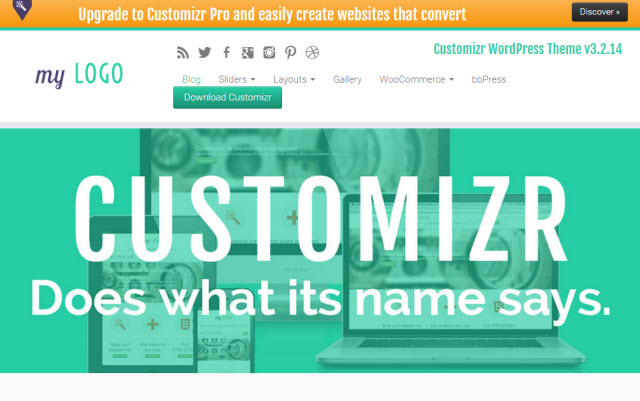 customizr business theme