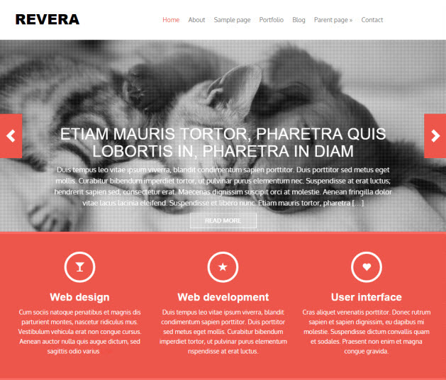 revera business theme