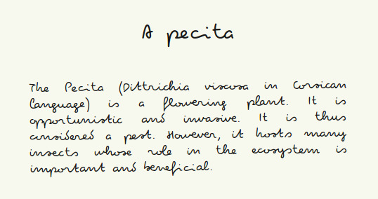 handwriting-fonts-pecita