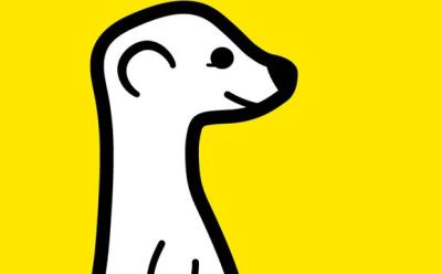 How to use Meerkat (Guide)