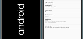 Android M Boot screen and Settings