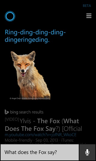 fox-say