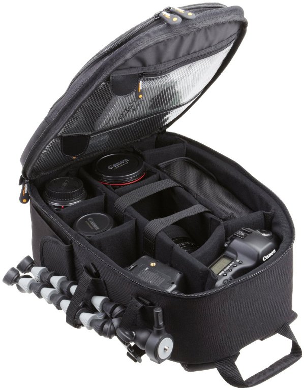 AmazonBasics Backpack for SLR DSLR Cameras Accessories
