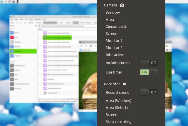 Top 10 Screen Recorders for Linux | Beebom