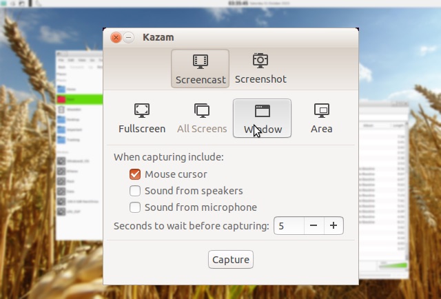 linux-screencasting-kazam