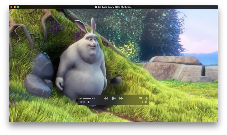 forms of video players for mac