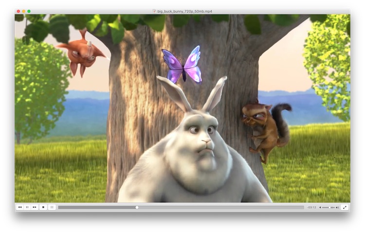 best media player for mac for mp4