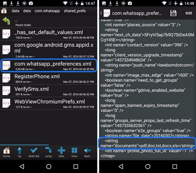 WhatsApp preferences root files