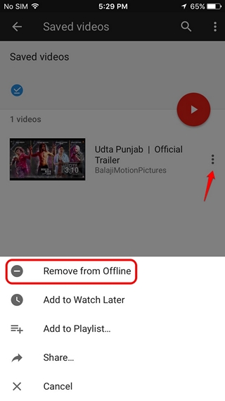 iPhone remove offline videos