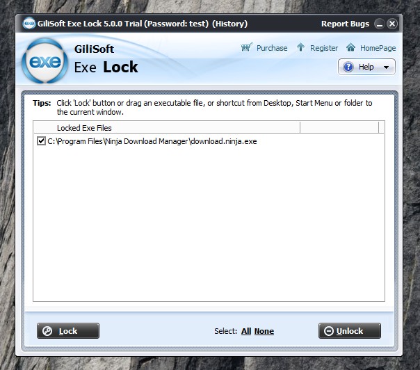 GiliSoft Exe Lock 10.8 download the new version for ipod