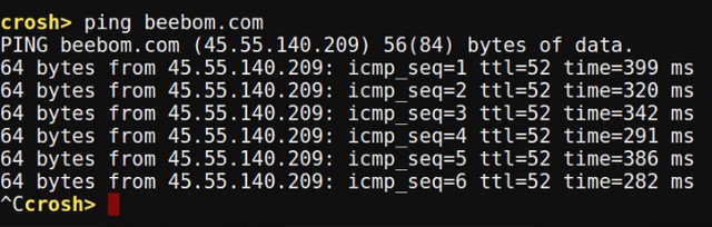 Chrome OS Crosh ping command