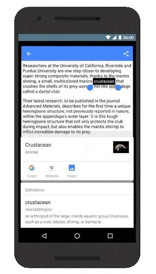 Google Now on Tap Dictionary