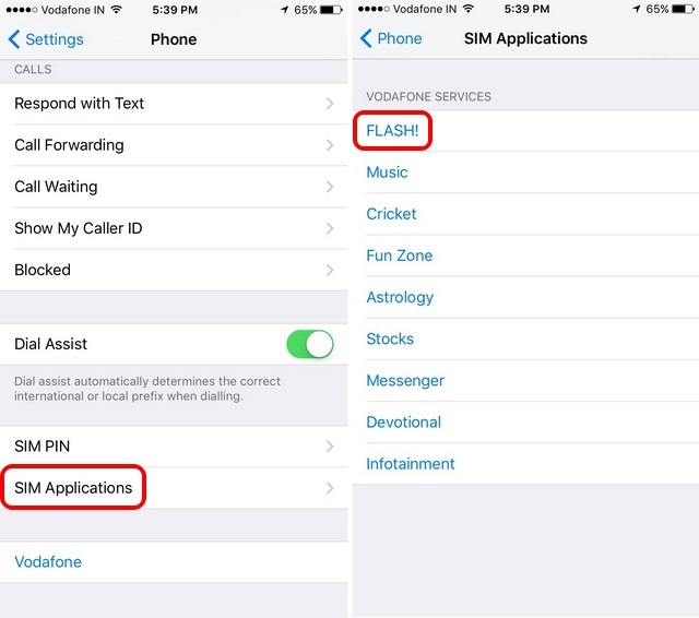 iPhone 6s SIM Applications Settings