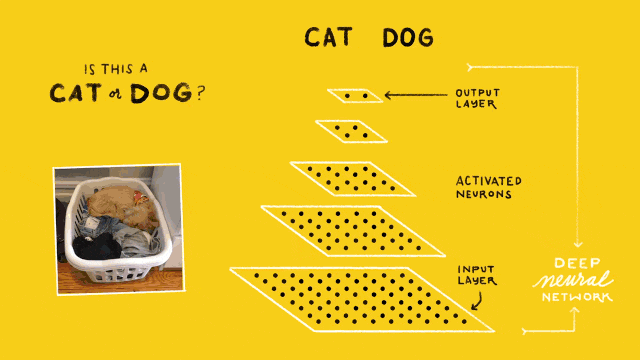 Tensor -bb- Cat or Dog