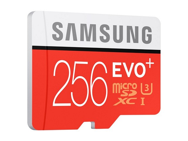 Samsung Evo+ 256 GB microSD