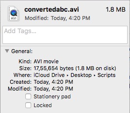 converted video format