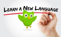 Top 10 Duolingo Alternatives for Better Language Learning