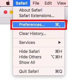 remove safari extensions