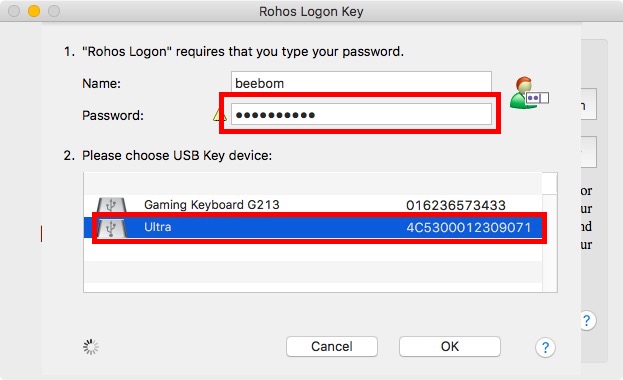 inserisci la password seleziona l'unità usb