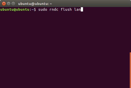 flush-bind-cache-lan