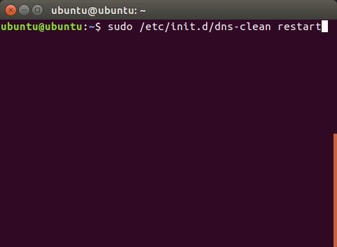 flush-dns-cache-in-linux