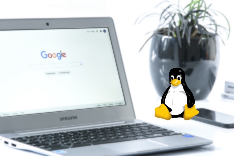 how to install linux on chromebook