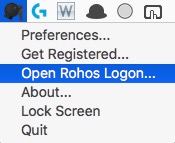 open rohos logon