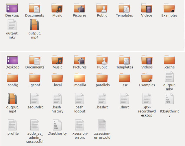 show hide hidden files in file manager ubuntu