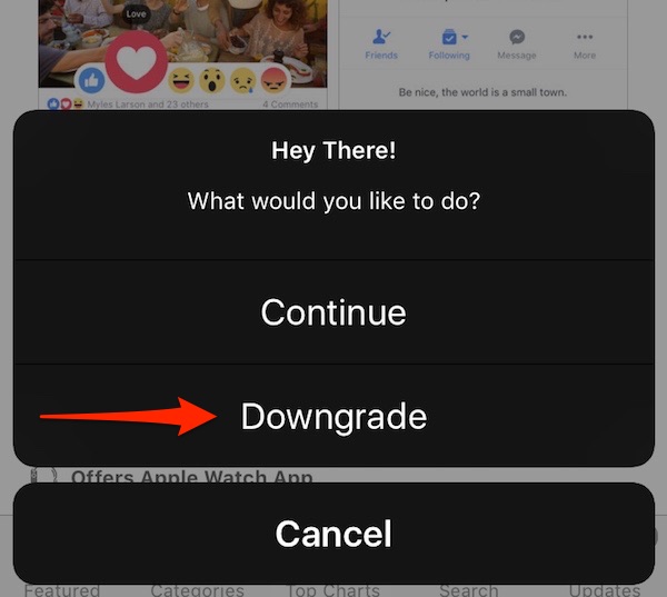 How to Downgrade iOS Apps to Their Older Versions