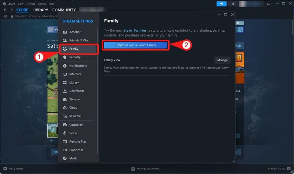 Family sharing option settings - steam family sharing