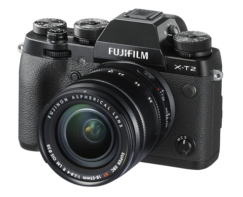 12 Best Mirrorless Cameras You Can Buy