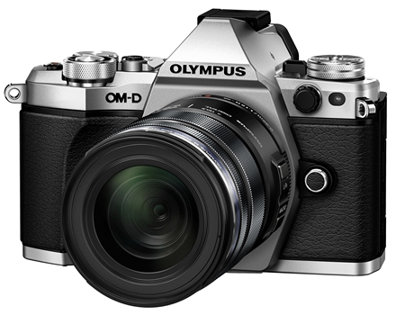 12 Best Mirrorless Cameras You Can Buy