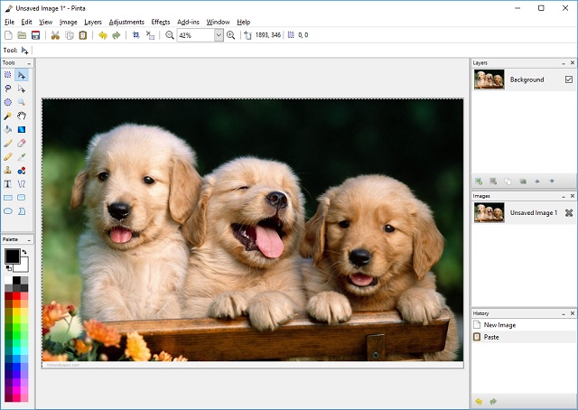 Top 7 Free MS Paint Alternatives You Can Use