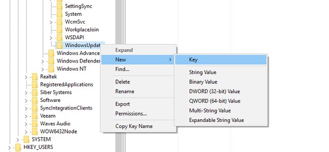 WindowsUpdate Key